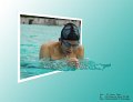 Swim0574 